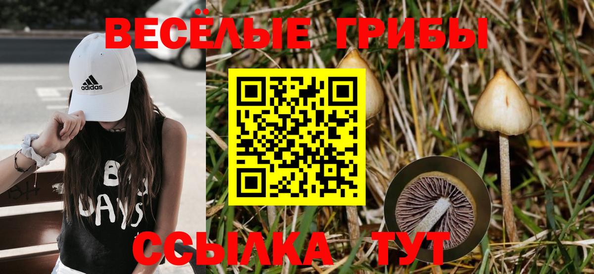 Галлюциногенные грибы Psilocybe  Галлюциногенные грибы мицелий  Зеленокумск  Вход с VPN 